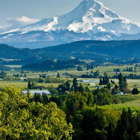 Meet your Posher, Tracey - Picture 4 of 6